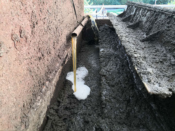 ������h�B(y��ng)ֳ��(ch��ng)���(y��ng)�x��